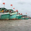解除IUU“黄牌”警告：越南金瓯省完成渔船巡航监控设备安装工作