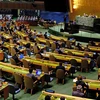越南为联合国大会事务达成高度共识做出不懈努力