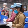 越南超过5000万名劳动者将拥有电子劳动手册