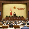 越南第十五届国会第三次会议新闻公报（第十九号）