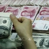 越南国家银行增加外汇供应 促进外汇市场平稳运行