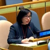 越南承诺根据联合国行动计划管理小武器和轻武器