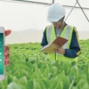 越南将先进技术应用于可持续发展农业中