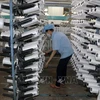 坚江省2022年上半年工业生产总值同比增长近14%