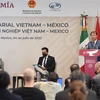 越南与墨西哥促进经贸与投资合作