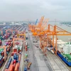 投资总额近9万亿越盾的平定芙美港口的建设是符合越南港口系统发展规划