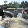 越南工贸部提议向渔民提供油价补助金
