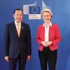 欧盟重视越南的地位和作用