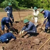 5具烈士遗骸收迁安葬工作在广治省举行