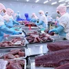 越南金枪鱼出口有望在通货膨胀危机中飙升