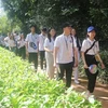 2022年夏令营活动：海外青年侨胞是促进越南与世界各国良好关系的“大使”