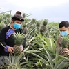 世行与日本为越南弱势群体提供法律援助