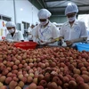将越南水果出口带入美国的连锁超市销售的一大步
