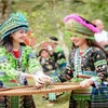 安沛省努力保护与弘扬芒族文化传统价值
