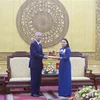 越老建交60周年：越南宁平省与老挝首都万象加强合作