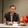 加强越南共产党与柬埔寨人民党的合作关系