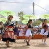 “欢庆独立日”活动即将在越南民族文化旅游村举行