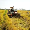 越南农业贸易顺差同比增加3倍