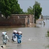 越南国会主席王廷惠就巴基斯坦洪灾向该国参众两院领导致慰问电