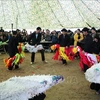 河江省侬族独特的森林祭祀仪式