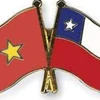 越南国庆77周年：越南始终是智利值得信赖的合作伙伴
