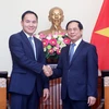 第10次越南与蒙古国外交部政治磋商在河内举行