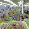 越南前江省预计全年商品出口增长近16%