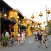 到访广南省的游客同比增加12倍 