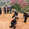 芦笙——安沛省芒炉山谷傣族人的独特乐器