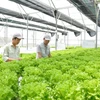 到2025年河内市高新技术农产品产值率达70%
