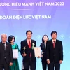 2022年越南强势品牌榜单出炉