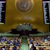 联合国大会通过了有关乌克兰局势的决议 越南呼吁结束冲突