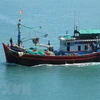 越南沿海省市重点管控和制止非法捕捞行为
