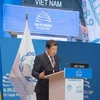 议联第145届大会：越南提出促进性别平等的建议