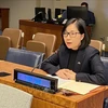 促进和保护人权：越南呼吁各国增加妇女在和平建设和谈判进程的参与度