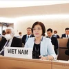越南常驻日内瓦代表：越南愿与国际社会携手应对全球性挑战