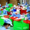 东盟与中日韩分享疫后劳动力市场恢复经验