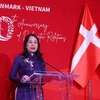 越南与丹麦建交50周年庆典在河内举行