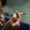 印尼政府决定提高烟草制品消费税