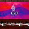 G20峰会：印尼部署人脸识别系统