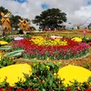 2022年第九届大叻花卉节举行在即