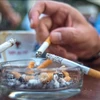 越南烟草消费的现状、挑战和解决方案