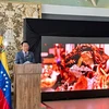 第五届东盟日活动在委内瑞拉举行