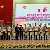 发展越南九龙江平原地区物流人力资源