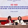 越南在促进劳务、社会和性别平等领域的人权保障问题取得了令人瞩目的成就