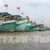 解除IUU黄牌警告：前江省加大宣传力度提高渔民执法意识