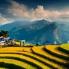 《孤独星球》列出越南最美的八条徒步路线