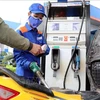 12月21日下午越南汽油零售价每公升下调500越盾
