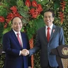 越南和印尼力争在2028年前将双边贸易金额提升至150亿美元以上