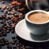 越南咖啡出口创十年新高 
